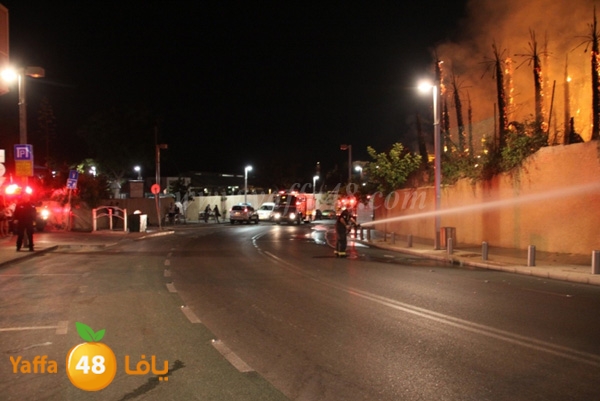 fire minas2 sterer (13).JPG